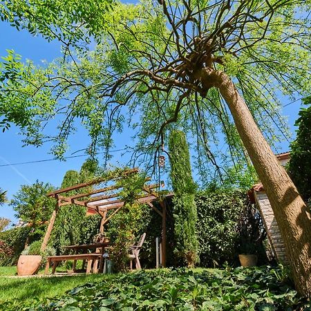Avantgarden Umag Exterior photo